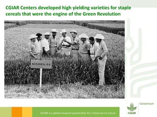 Bridging the gaps: Challenges and Opportunities 