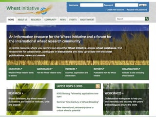 Bridging the gaps: Challenges and Opportunities 