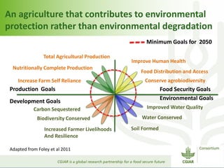 Bridging the gaps: Challenges and Opportunities 