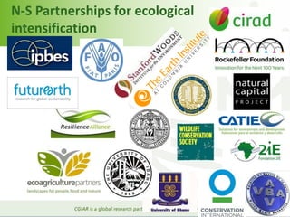 Bridging the gaps: Challenges and Opportunities 