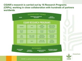 Bridging the gaps: Challenges and Opportunities 