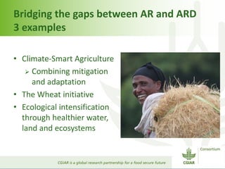 Bridging the gaps: Challenges and Opportunities 