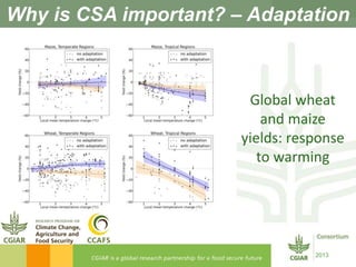 Bridging the gaps: Challenges and Opportunities 