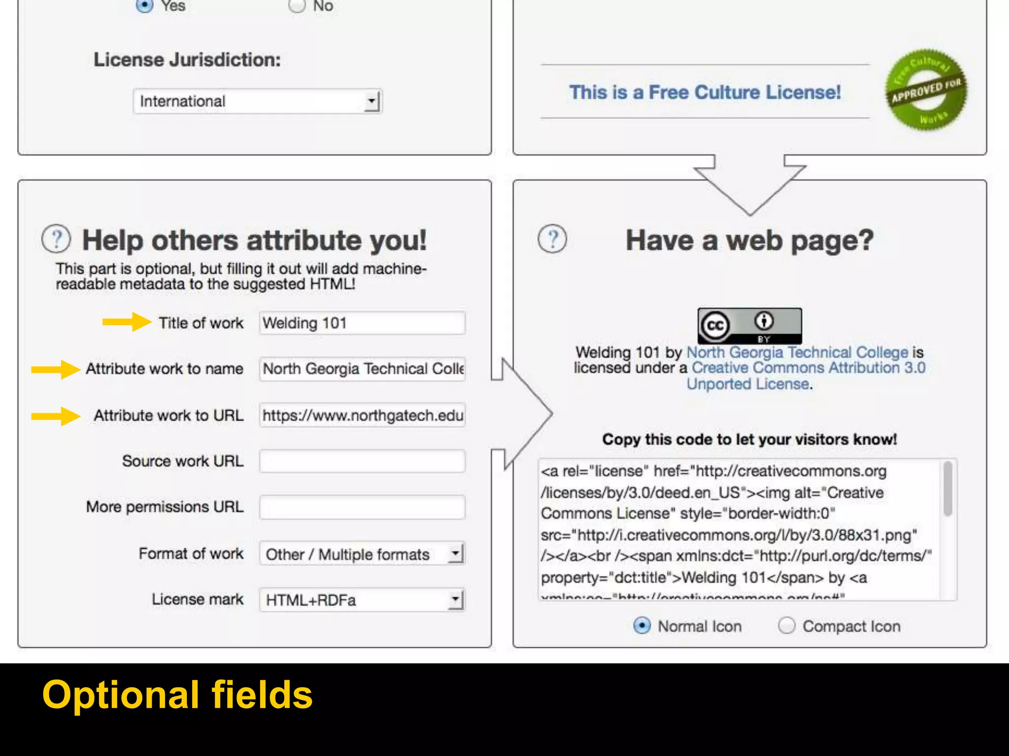 Optional fields
 