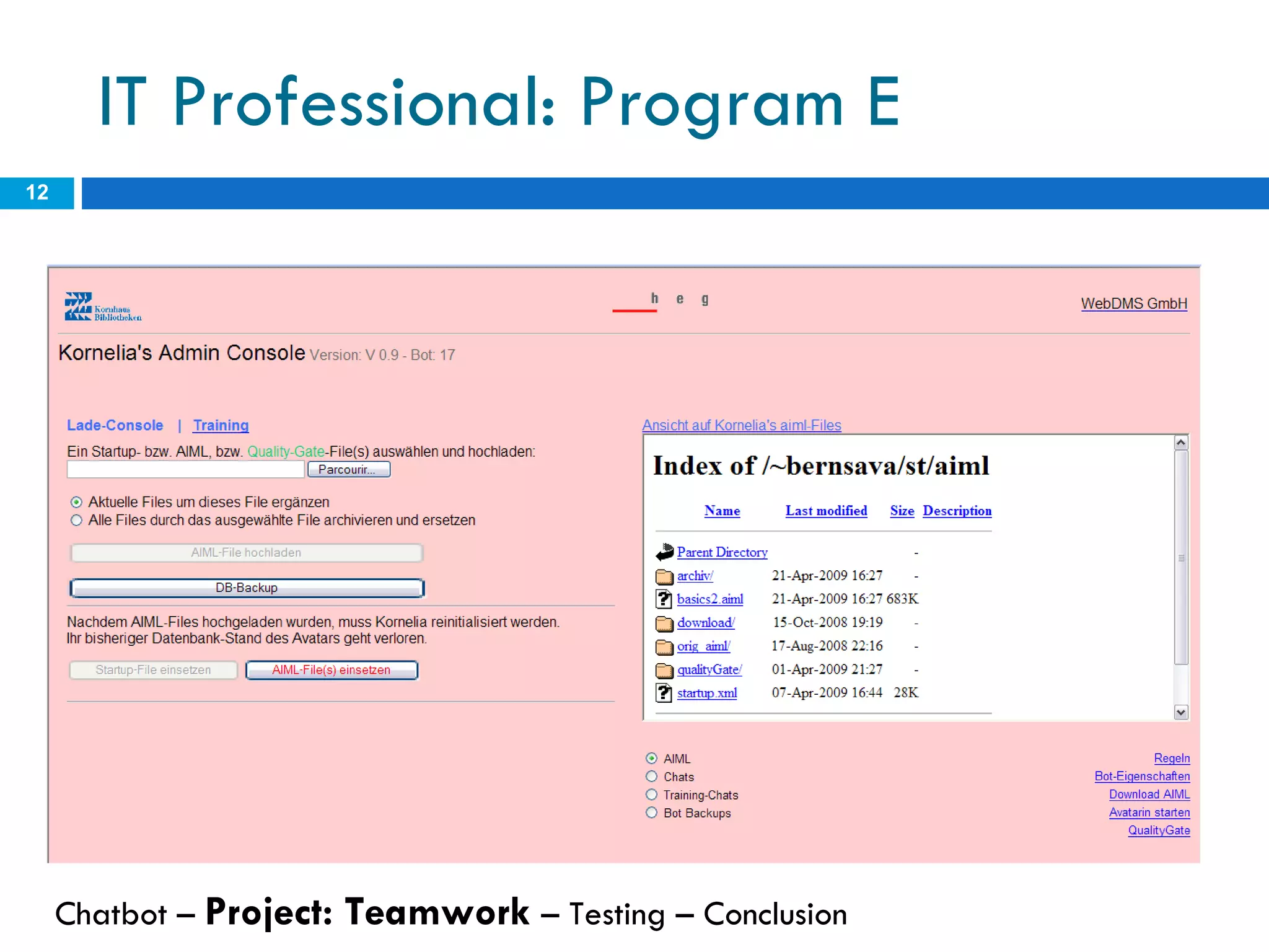 IT Professional: Program E Chatbot –  Project: Teamwork  – Testing – Conclusion  