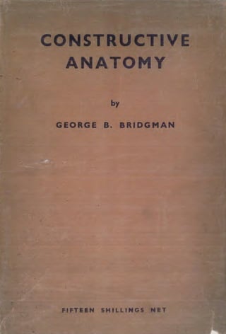 Bridgman   constructive anatomy