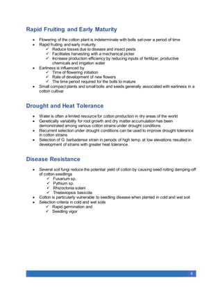 Brief Cotton Breeding Docx