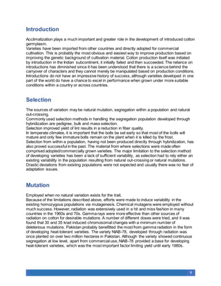 Brief Cotton Breeding Docx