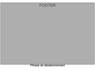 FOOTER Phrase de désabonnement 