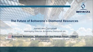 The Future of Botswana’s Diamond Resources
James AH Campbell
Managing Director, Botswana Diamonds plc
Botswana Resources, Infrastructure and Energy Forum (‘BRIEF’)
Gaborone
16-17 May 2022
 