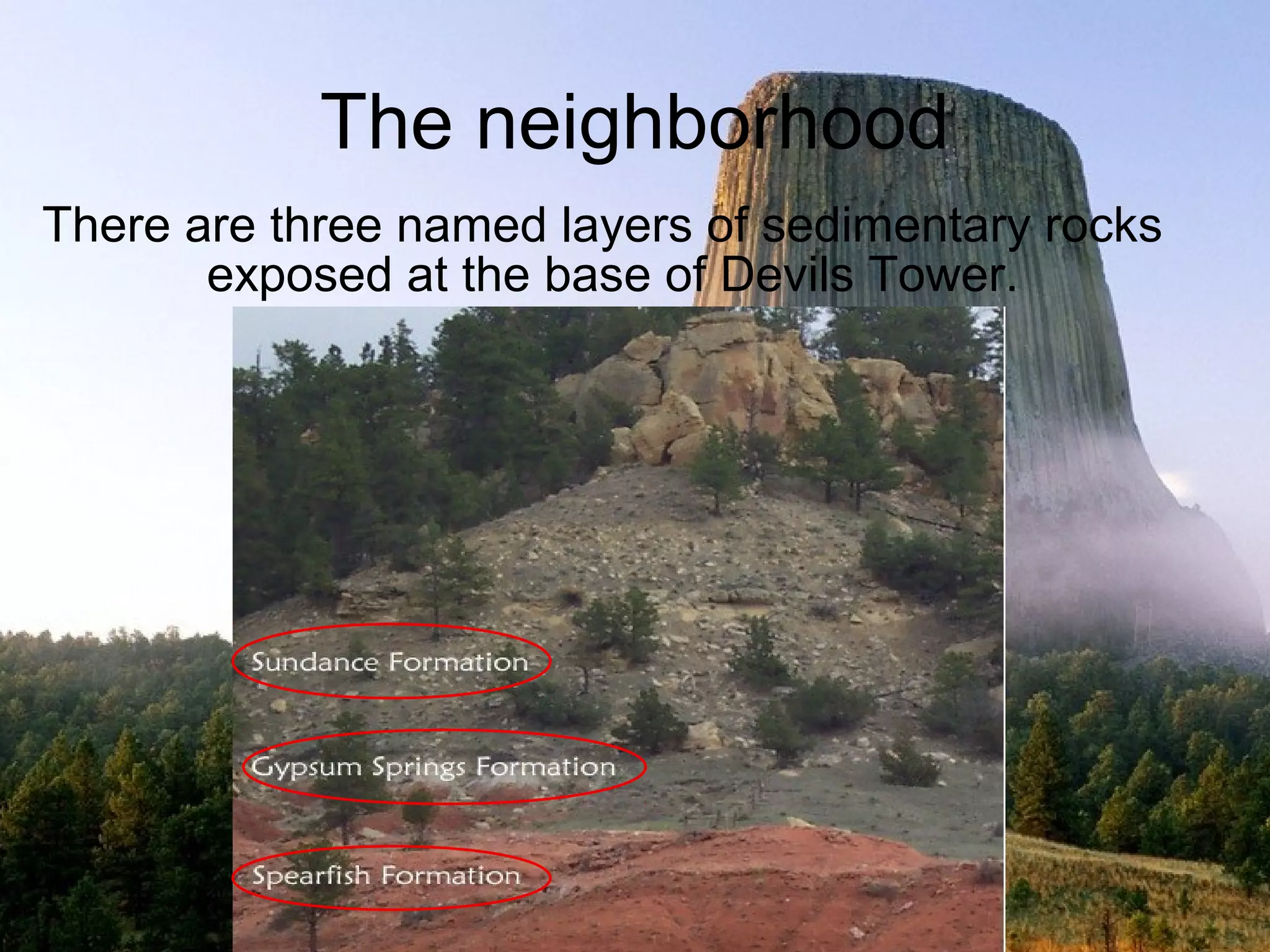 The neighborhood
There are three named layers of sedimentary rocks
       exposed at the base of Devils Tower.
 