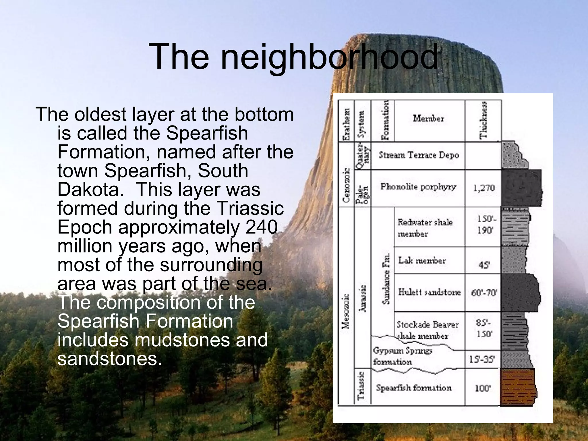 The neighborhood
The oldest layer at the bottom
  is called the Spearfish
  Formation, named after the
  town Spearfish, South
  Dakota. This layer was
  formed during the Triassic
  Epoch approximately 240
  million years ago, when
  most of the surrounding
  area was part of the sea.
  The composition of the
  Spearfish Formation
  includes mudstones and
  sandstones.
 
