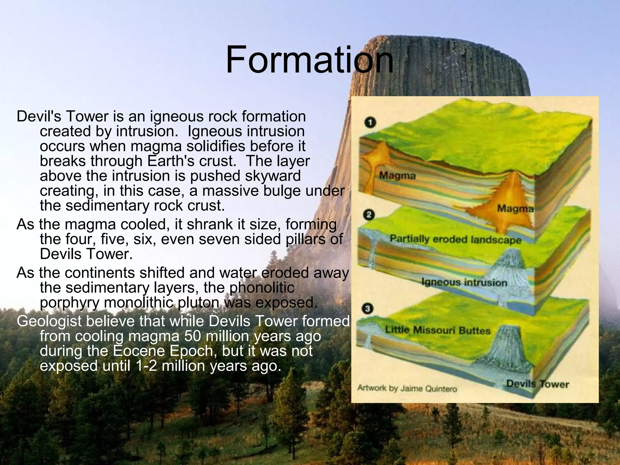 Formation
Devil's Tower is an igneous rock formation
   created by intrusion. Igneous intrusion
   occurs when magma solidifies before it
   breaks through Earth's crust. The layer
   above the intrusion is pushed skyward
   creating, in this case, a massive bulge under
   the sedimentary rock crust.
As the magma cooled, it shrank it size, forming
   the four, five, six, even seven sided pillars of
   Devils Tower.
As the continents shifted and water eroded away
   the sedimentary layers, the phonolitic
   porphyry monolithic pluton was exposed.
Geologist believe that while Devils Tower formed
   from cooling magma 50 million years ago
   during the Eocene Epoch, but it was not
   exposed until 1-2 million years ago.
 