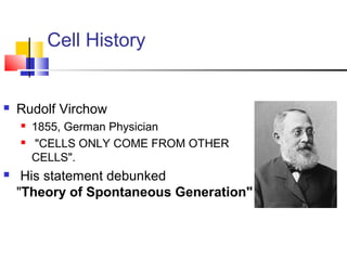 Cell History
 Rudolf Virchow
 1855, German Physician
 "CELLS ONLY COME FROM OTHER
CELLS".
 His statement debunked
"Theory of Spontaneous Generation"
 