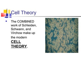 Cell Theory
 The COMBINED
work of Schleiden,
Schwann, and
Virchow make up
the modern
CELL
THEORY.
 