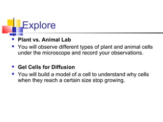 Explore
 Plant vs. Animal Lab
 You will observe different types of plant and animal cells
under the microscope and record your observations.
 Gel Cells for Diffusion
 You will build a model of a cell to understand why cells
when they reach a certain size stop growing.
 
