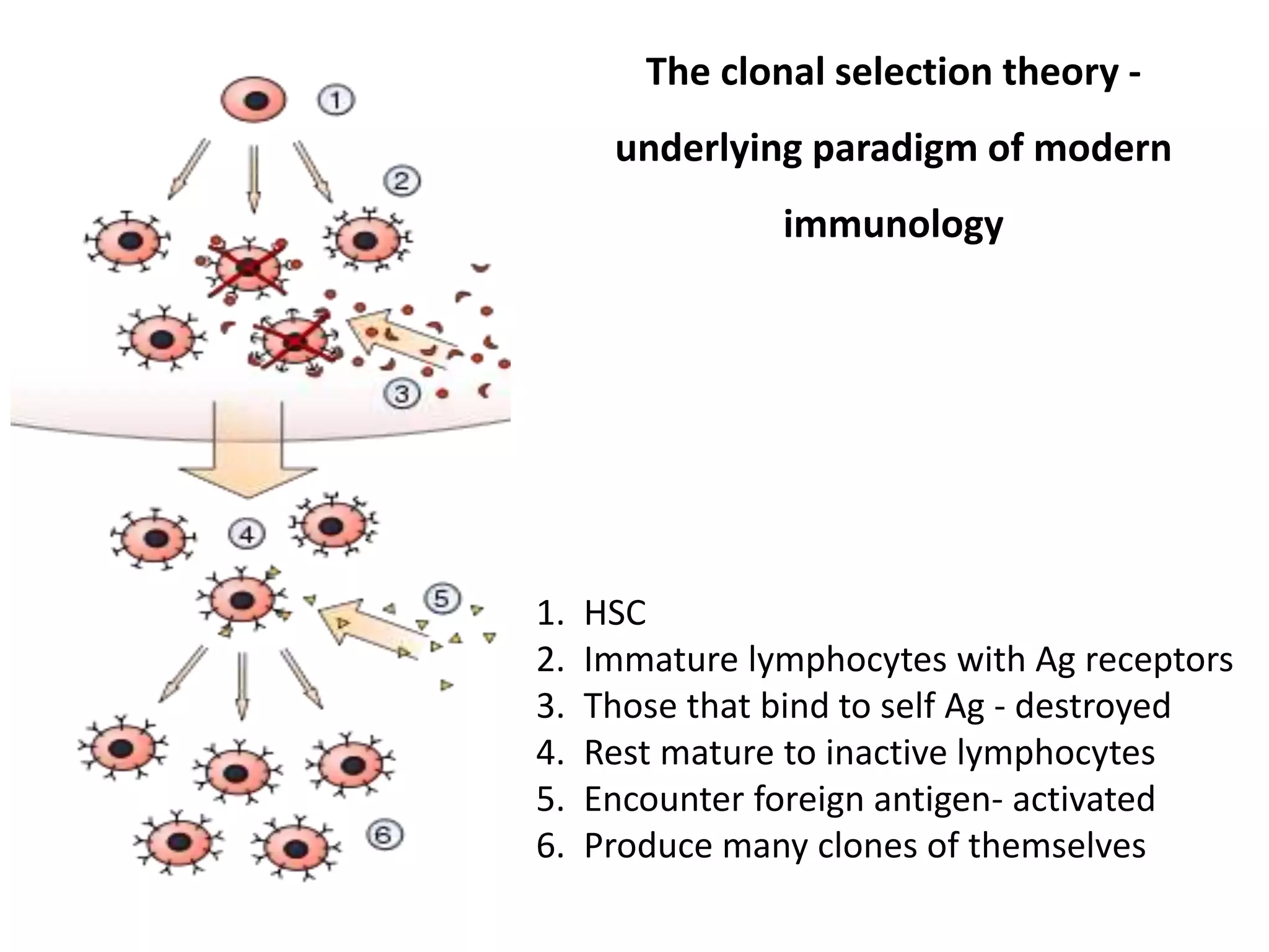 Brief history of immunology | PPTX