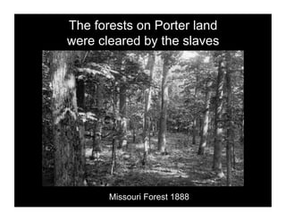 The forests on Porter land
were cleared by the slaves




       Missouri Forest 1888
 