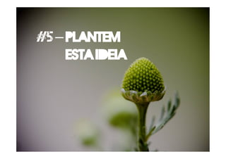 #5 – Plantem
esta ideia