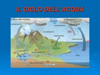 IL CICLO DELL’ACQUA 430 390 40 110 50 20 28 12 