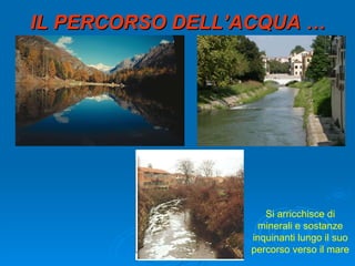 IL PERCORSO DELL’ACQUA … Si arricchisce di minerali e sostanze inquinanti lungo il suo percorso verso il mare 