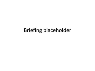 Briefing placeholder
 