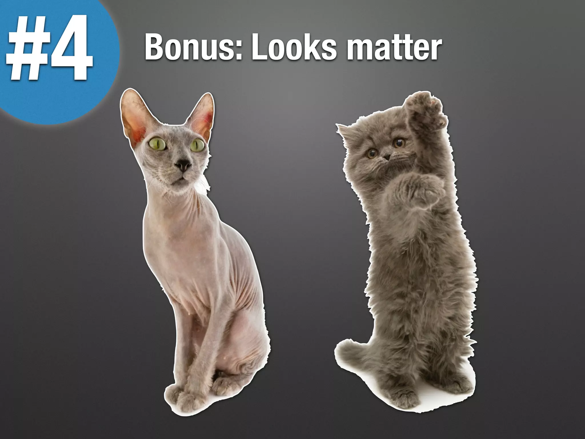 Bonus: Looks matter
#4
 