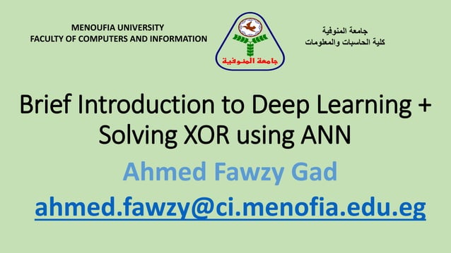 Brief Introduction to Deep Learning + Solving XOR using ANNs | PDF
