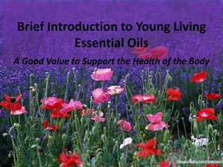 Brief Introduction to Young Living
Essential Oils
A Good Value to Support the Health of the Body
 