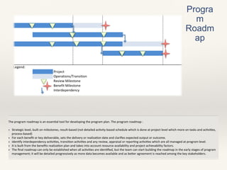 Brief of program management | PDF