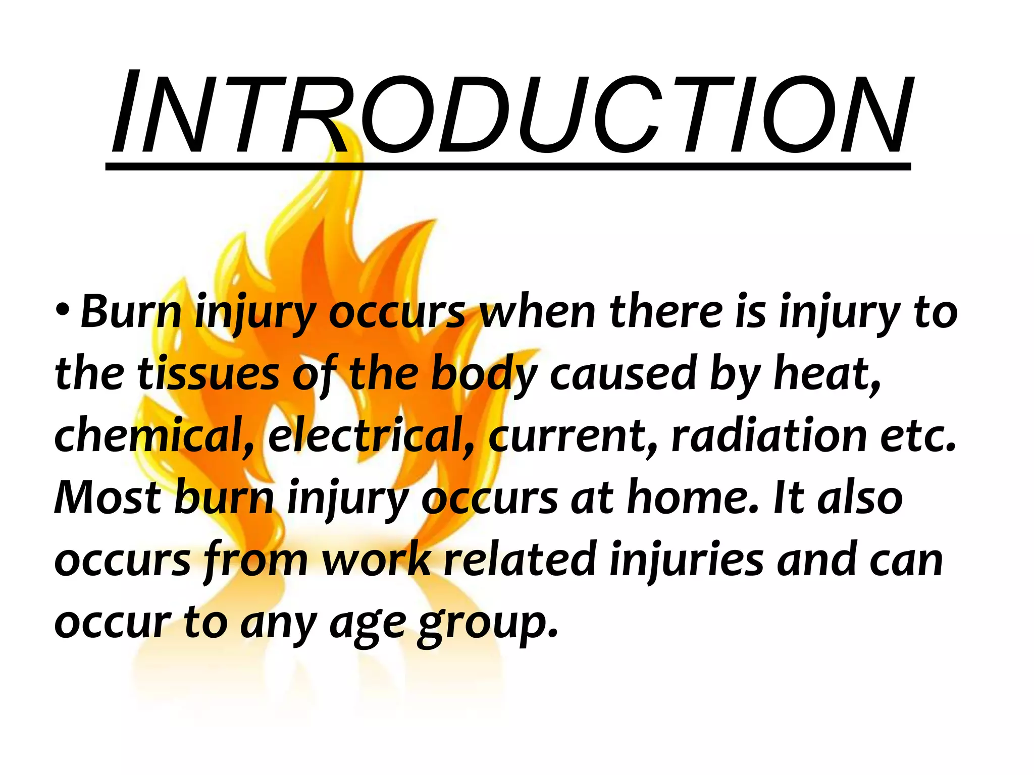 Brief Seminar on burns | PPTX