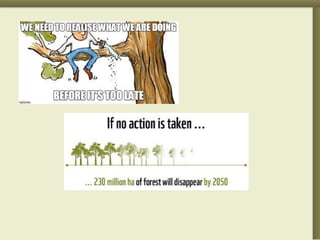 Brief on Forestation and detailed statistics about forestation | PPTX