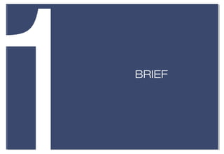 1   BRIEF
 