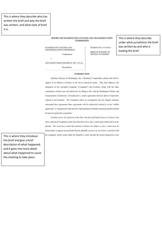This is where they describe who has
written the brief and why the brief
was written, and what style of brief
it is.
This is where they describe
under what jurisdiction the brief
was written by and who is
leading the brief.
This is where they introduce
the brief and give a brief
description of what happened,
and it goes into more detail
about what happened to cause
the meeting to take place.
 