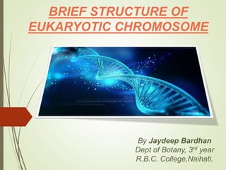 BRIEF STRUCTURE OF
EUKARYOTIC CHROMOSOME
By Jaydeep Bardhan
Dept of Botany, 3rd year
R.B.C. College,Naihati.
 