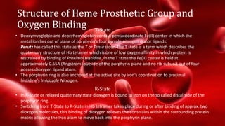 [Brief]Structure and functions of hemoglobin and myglobin (Bio ...