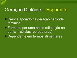 Geração Diplóide –  Esporófito  Cresce apoiado na geração haplóide feminina Formado por uma haste (dilatação na ponta – células reprodutoras)  Dependente em termos alimentares 