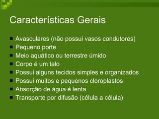 Características Gerais Avasculares (não possui vasos condutores) Pequeno porte Meio aquático ou terrestre úmido Corpo é um talo Possui alguns tecidos simples e organizados Possui muitos e pequenos cloroplastos Absorção de água é lenta Transporte por difusão (célula a célula)  