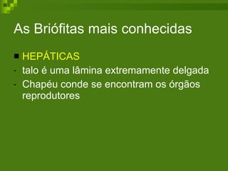 As Briófitas mais conhecidas HEPÁTICAS talo é uma lâmina extremamente delgada Chapéu conde se encontram os órgãos reprodutores 