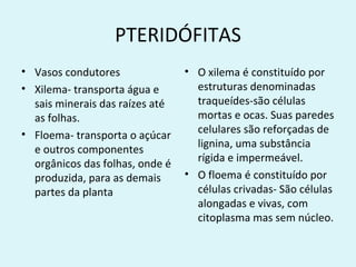 PTERIDÓFITAS
• Vasos condutores               • O xilema é constituído por
• Xilema- transporta água e        estruturas denominadas
  sais minerais das raízes até     traqueídes-são células
  as folhas.                       mortas e ocas. Suas paredes
• Floema- transporta o açúcar      celulares são reforçadas de
                                   lignina, uma substância
  e outros componentes
                                   rígida e impermeável.
  orgânicos das folhas, onde é
  produzida, para as demais      • O floema é constituído por
  partes da planta                 células crivadas- São células
                                   alongadas e vivas, com
                                   citoplasma mas sem núcleo.
 