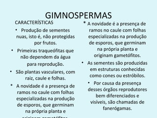 GIMNOSPERMAS
  CARACTERÍSTICAS                  * A novidade é a presença de
   • Produção de sementes             ramos no caule com folhas
    nuas, isto é, não protegidas     especializadas na produção
             por frutos.              de esporos, que germinam
 • Primeiras traqueófitas que              na própria planta e
      não dependem da água               originam gametófitos.
         para reprodução.          • As sementes são produzidas
• São plantas vasculares, com          em estruturas conhecidas
                                      como cones ou estróbilos.
        raiz, caule e folhas.
                                     • Por causa da presença
* A novidade é a presença de
                                     desses órgãos reprodutores
    ramos no caule com folhas
                                          bem diferenciados e
    especializadas na produção
                                       visíveis, são chamadas de
    de esporos, que germinam
                                              fanerógamas.
        na própria planta e
 