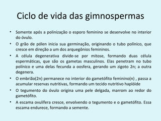 Ciclo de vida das gimnospermas
•   Somente após a polinização o esporo feminino se desenvolve no interior
    do óvulo.
•   O grão de pólen inicia sua germinação, originando o tubo polínico, que
    cresce em direção a um dos arquegônios femininos.
•   A célula degenerativa divide-se por mitose, formando duas célula
    espermáticas, que são os gametas masculinos. Elas penetram no tubo
    polínico e uma delas fecunda a oosfera, gerando um zigoto 2n; a outra
    degenera.
•   O embrião(2n) permanece no interior do gametófito feminino(n) , passa a
    acumular reservas nutritivas, formando um tecido nutritivo haplóide
•   O tegumento do óvulo origina uma pele delgada, marrom ao redor do
    gametófito.
•   A escama ovulífera cresce, envolvendo o tegumento e o gametófito. Essa
    escama endurece, formando a semente.
 