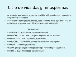 Ciclo de vida das gimnospermas
•   A semente permanece presa ao estróbilo até amadurecer, quando se
    desprende e cai no solo.
•   Encontrando condições favoráveis, essa semente inicia a germinação, e o
    embrião dá origem ao esporófito(2n), que reiniciará o ciclo.

•                          RESUMINDO
•   ESPORÓFITO (2n); indivíduo mais desenvolvido.
•   GAMETÓFITO MASCULINO (n): grão de pólen e tubo polínico.
•   GAMETA MASCULINO (n): célula espermática.
•   GAMETÓFITO FEMININO(n):tecido nutritivo com arquegônios.
•   GAMETA FEMININO (n);:oosfera.
•   ÓVULO: ginosporângio ou megasporângio revestido por tegumento.
•   SEMENTE: óvulo fecundado e desenvolvido.
 