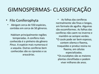 GIMNOSPERMAS- CLASSIFICAÇÃO
• Filo Coniferophyta                   • As folhas das coníferas
                                      normalmente são finas e longas,
• Abrigam cerca de 550 espécies,
                                      em formato de agulha. Algumas
  contidas em cerca de 50 gêneros.    são escamiformes. As folhas das
                                      coníferas não caem no inverno e
   Habitam principalmente regiões        mantêm-se sempre verdes.
     temperadas. A conífera mais      *O caule pode ser bem espesso,
  conhecida é o pinheiro do gênero        contem xilema e floema,
  Pinus. A espécie mais numerosa é     traqueídes e produz resina no
   a sequóia. Outras coníferas bem            floema, em células
   conhecidas são os ciprestes e as             especializadas.
              araucárias.              *Os eucaliptos são as maiores
                                        plantas clorofiladas e podem
                                           viver milhares de anos.
 