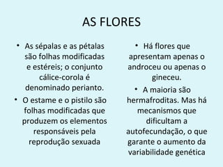 AS FLORES
 • As sépalas e as pétalas     • Há flores que
   são folhas modificadas     apresentam apenas o
    e estéreis; o conjunto   androceu ou apenas o
        cálice-corola é             gineceu.
   denominado perianto.        • A maioria são
• O estame e o pistilo são   hermafroditas. Mas há
   folhas modificadas que       mecanismos que
  produzem os elementos           dificultam a
      responsáveis pela      autofecundação, o que
     reprodução sexuada      garante o aumento da
                             variabilidade genética
 