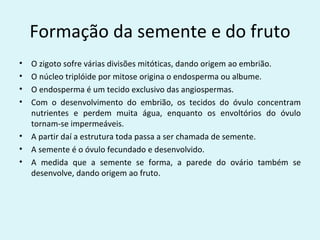 Formação da semente e do fruto
•   O zigoto sofre várias divisões mitóticas, dando origem ao embrião.
•   O núcleo triplóide por mitose origina o endosperma ou albume.
•   O endosperma é um tecido exclusivo das angiospermas.
•   Com o desenvolvimento do embrião, os tecidos do óvulo concentram
    nutrientes e perdem muita água, enquanto os envoltórios do óvulo
    tornam-se impermeáveis.
•   A partir daí a estrutura toda passa a ser chamada de semente.
•   A semente é o óvulo fecundado e desenvolvido.
•   A medida que a semente se forma, a parede do ovário também se
    desenvolve, dando origem ao fruto.
 