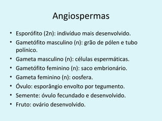 Angiospermas
• Esporófito (2n): indivíduo mais desenvolvido.
• Gametófito masculino (n): grão de pólen e tubo
  polínico.
• Gameta masculino (n): células espermáticas.
• Gametófito feminino (n): saco embrionário.
• Gameta feminino (n): oosfera.
• Óvulo: esporângio envolto por tegumento.
• Semente: óvulo fecundado e desenvolvido.
• Fruto: ovário desenvolvido.
 