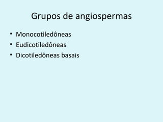 Grupos de angiospermas
• Monocotiledôneas
• Eudicotiledôneas
• Dicotiledôneas basais
 