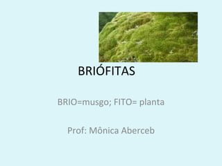 BRIÓFITAS

BRIO=musgo; FITO= planta

  Prof: Mônica Aberceb
 