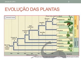 January 24, 2013       2




EVOLUÇÃO DAS PLANTAS
 